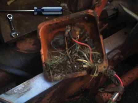 A nest found inside the electrical panel!!
